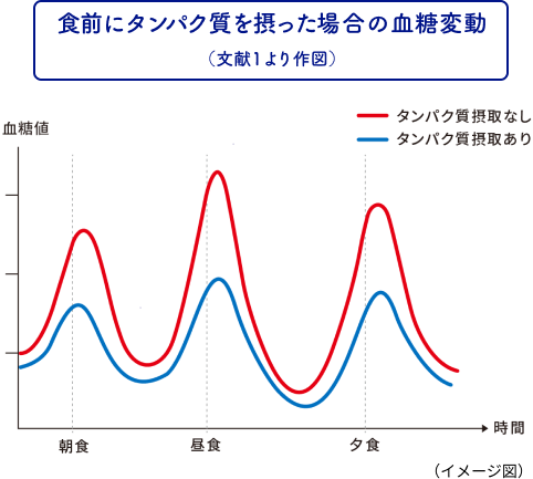 食前にタンパク質を摂った場合の血糖変動（文献１より作図）